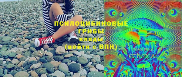 бошки Каменка