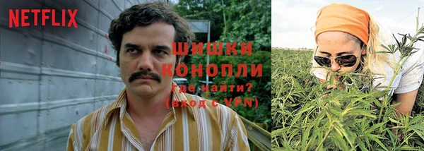 прущая мука Каменногорск